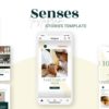 canva instagram story template for wellness business senses