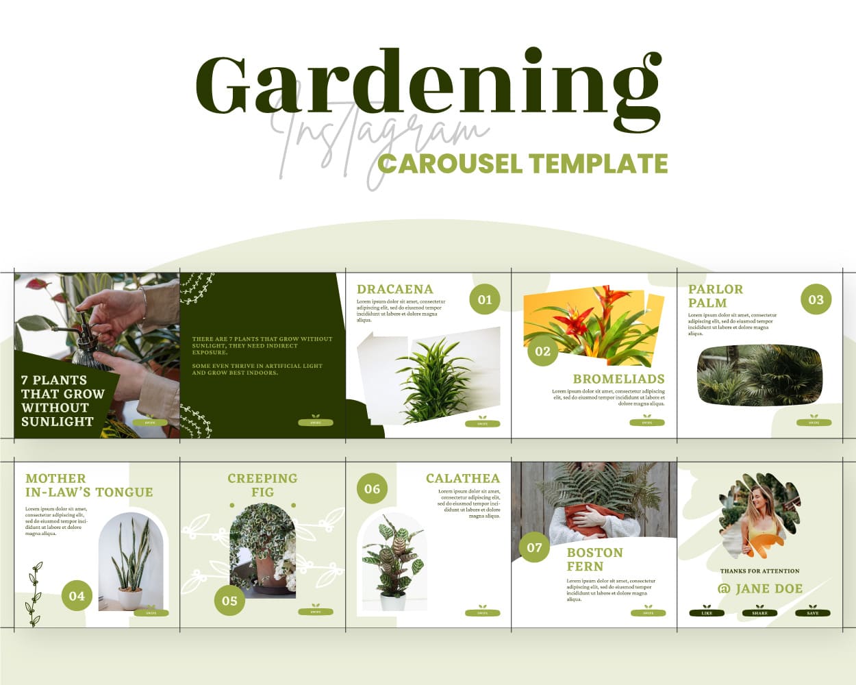 canva instagram carousel template for nature business gardening